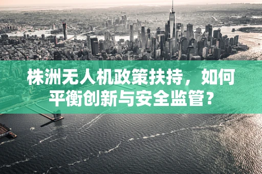 株洲无人机政策扶持，如何平衡创新与安全监管？