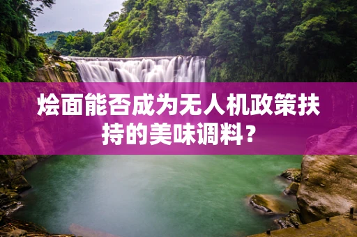 烩面能否成为无人机政策扶持的美味调料？