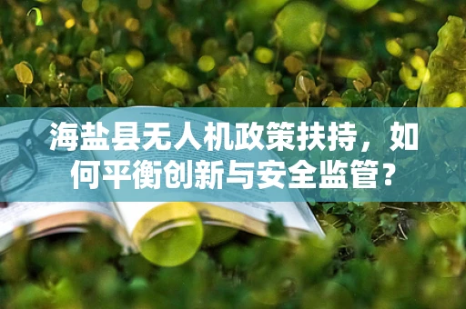 海盐县无人机政策扶持，如何平衡创新与安全监管？
