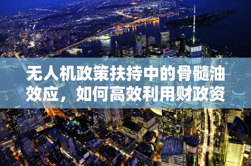 无人机政策扶持中的骨髓油效应，如何高效利用财政资源？