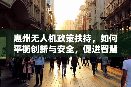 惠州无人机政策扶持，如何平衡创新与安全，促进智慧城市发展？