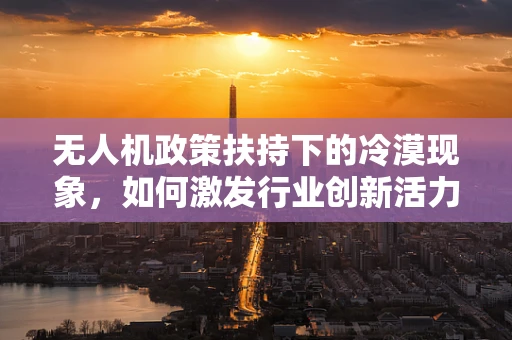 无人机政策扶持下的冷漠现象，如何激发行业创新活力？
