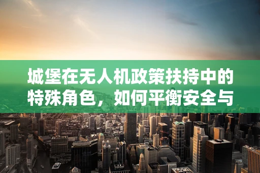 城堡在无人机政策扶持中的特殊角色，如何平衡安全与创意应用？