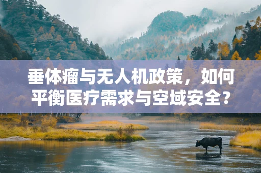 垂体瘤与无人机政策，如何平衡医疗需求与空域安全？