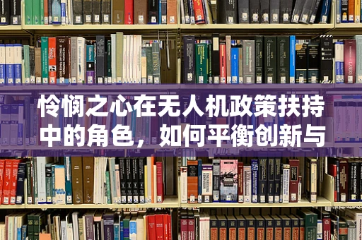 怜悯之心在无人机政策扶持中的角色，如何平衡创新与安全？