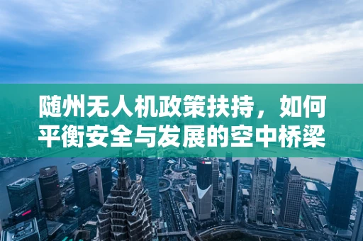 随州无人机政策扶持，如何平衡安全与发展的空中桥梁？