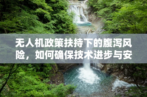 无人机政策扶持下的腹泻风险，如何确保技术进步与安全并进？