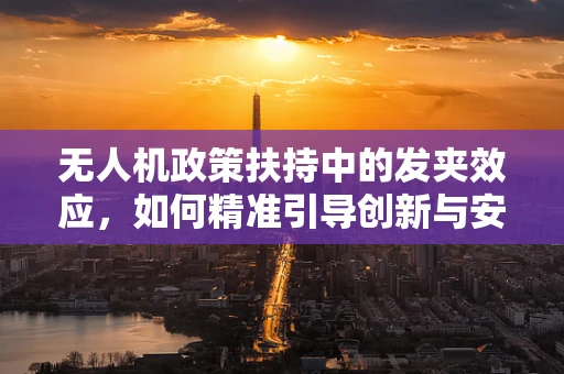 无人机政策扶持中的发夹效应，如何精准引导创新与安全？