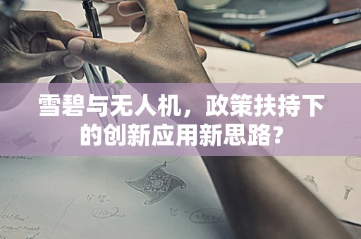 雪碧与无人机，政策扶持下的创新应用新思路？