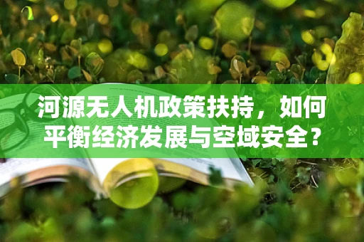 河源无人机政策扶持，如何平衡经济发展与空域安全？