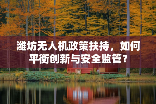 潍坊无人机政策扶持，如何平衡创新与安全监管？