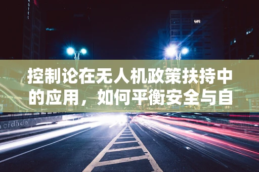 控制论在无人机政策扶持中的应用，如何平衡安全与自由？