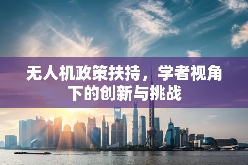 无人机政策扶持，学者视角下的创新与挑战