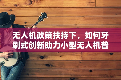 无人机政策扶持下，如何牙刷式创新助力小型无人机普及？