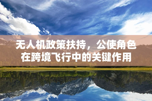 无人机政策扶持，公使角色在跨境飞行中的关键作用