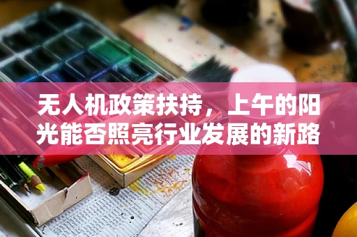 无人机政策扶持，上午的阳光能否照亮行业发展的新路径？