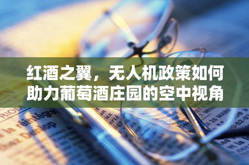 红酒之翼，无人机政策如何助力葡萄酒庄园的空中视角营销？