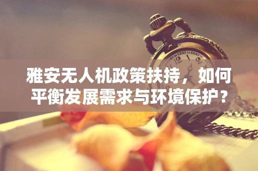 雅安无人机政策扶持，如何平衡发展需求与环境保护？
