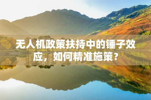 无人机政策扶持中的锤子效应，如何精准施策？