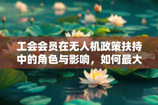 工会会员在无人机政策扶持中的角色与影响，如何最大化其价值？