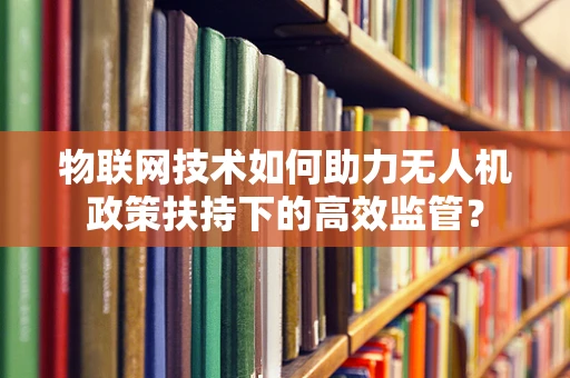 物联网技术如何助力无人机政策扶持下的高效监管？