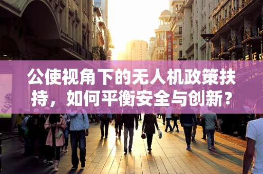 公使视角下的无人机政策扶持，如何平衡安全与创新？