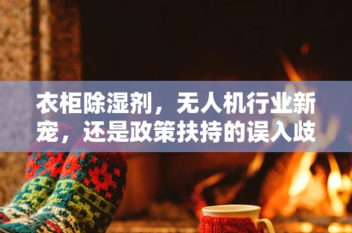 衣柜除湿剂，无人机行业新宠，还是政策扶持的误入歧途？