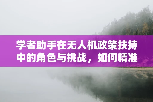 学者助手在无人机政策扶持中的角色与挑战，如何精准引导创新与安全？