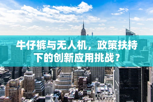 牛仔裤与无人机，政策扶持下的创新应用挑战？