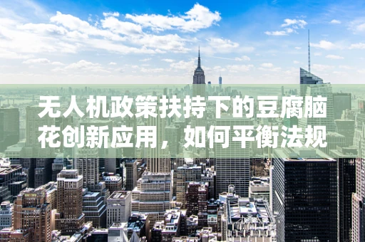 无人机政策扶持下的豆腐脑花创新应用，如何平衡法规与创意？