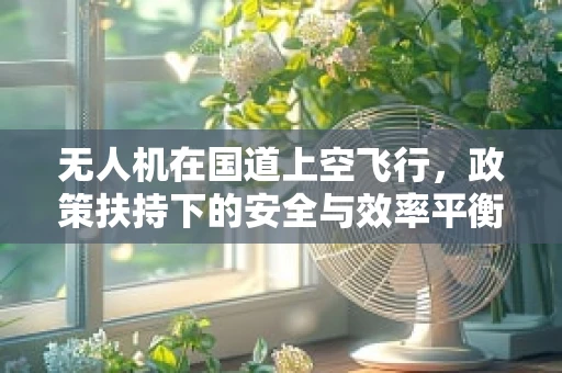 无人机在国道上空飞行，政策扶持下的安全与效率平衡点何在？