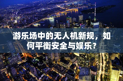 游乐场中的无人机新规，如何平衡安全与娱乐？