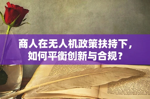 商人在无人机政策扶持下，如何平衡创新与合规？
