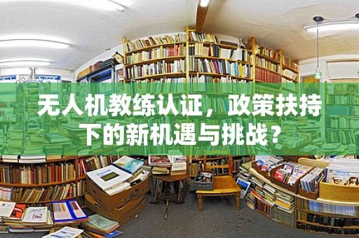 无人机教练认证，政策扶持下的新机遇与挑战？