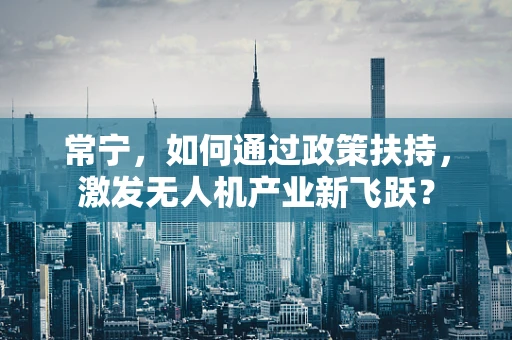 常宁，如何通过政策扶持，激发无人机产业新飞跃？
