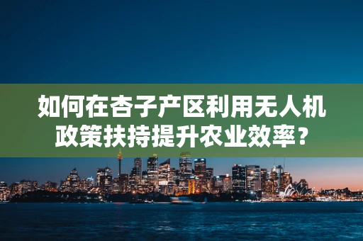 如何在杏子产区利用无人机政策扶持提升农业效率？