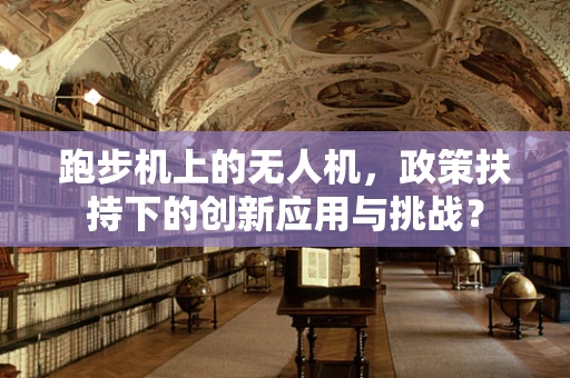 跑步机上的无人机，政策扶持下的创新应用与挑战？