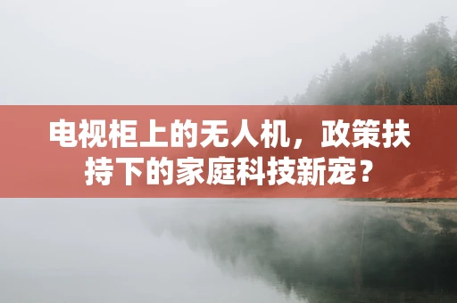 电视柜上的无人机，政策扶持下的家庭科技新宠？