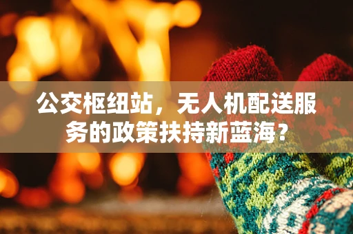 公交枢纽站，无人机配送服务的政策扶持新蓝海？