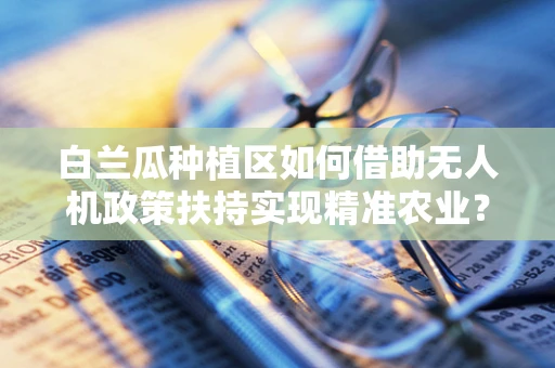 白兰瓜种植区如何借助无人机政策扶持实现精准农业？