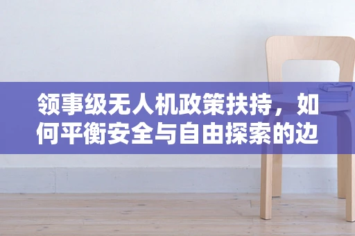 领事级无人机政策扶持，如何平衡安全与自由探索的边界？
