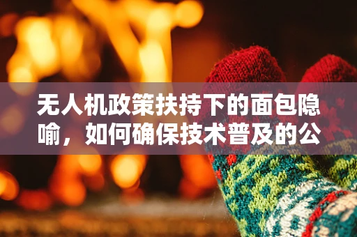 无人机政策扶持下的面包隐喻，如何确保技术普及的公平性？