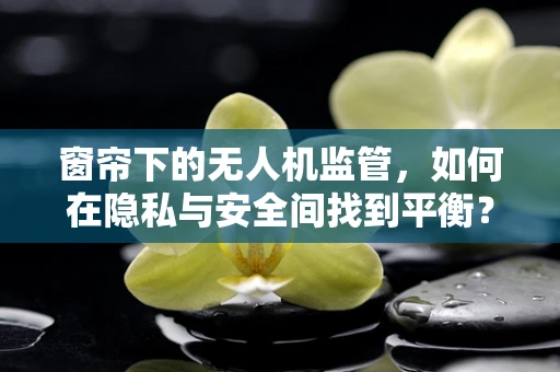 窗帘下的无人机监管，如何在隐私与安全间找到平衡？