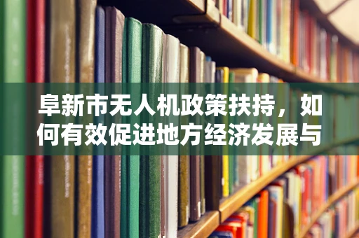阜新市无人机政策扶持，如何有效促进地方经济发展与安全监管的平衡？