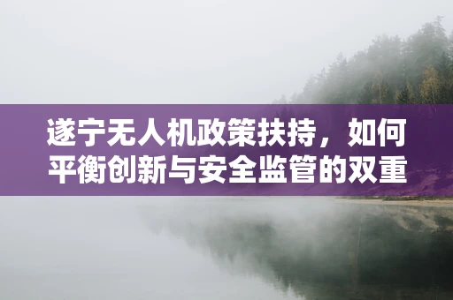 遂宁无人机政策扶持，如何平衡创新与安全监管的双重挑战？
