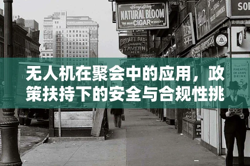无人机在聚会中的应用，政策扶持下的安全与合规性挑战？