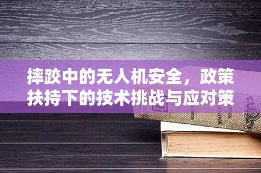 摔跤中的无人机安全，政策扶持下的技术挑战与应对策略