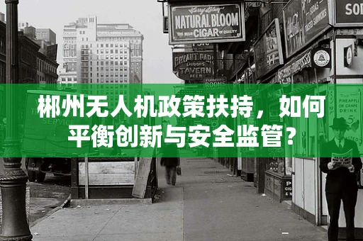郴州无人机政策扶持，如何平衡创新与安全监管？