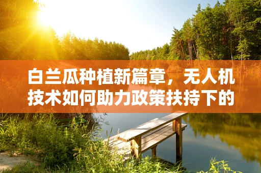 白兰瓜种植新篇章，无人机技术如何助力政策扶持下的精准农业？