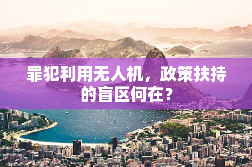 罪犯利用无人机，政策扶持的盲区何在？